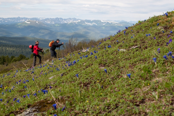 Затерянный мир – Ергаки (Путешествия, западный саян)