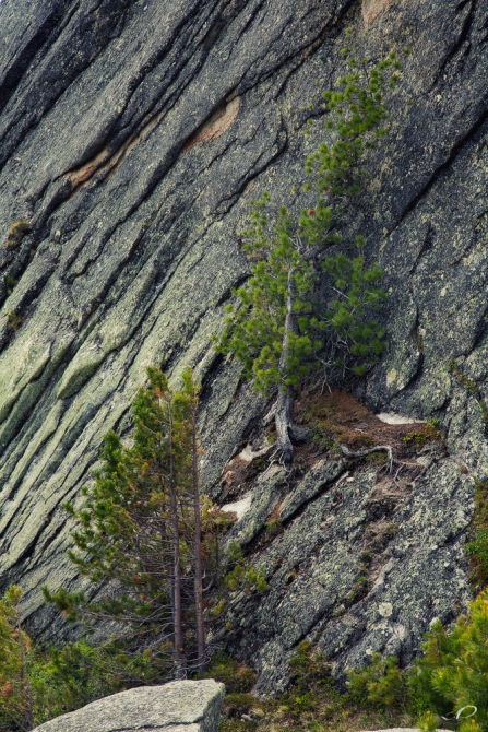 Ергаки- фотоотчет семейного путешественника. (Путешествия, саяны)