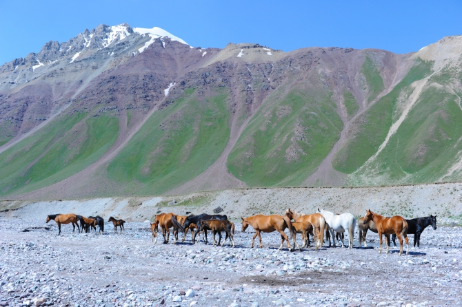 Киргизия 2013: Наше лето... (Альпинизм, пик ленина, ала-арча, хан-тенгри, redpoint, бублик сергей, вергелес андрей)