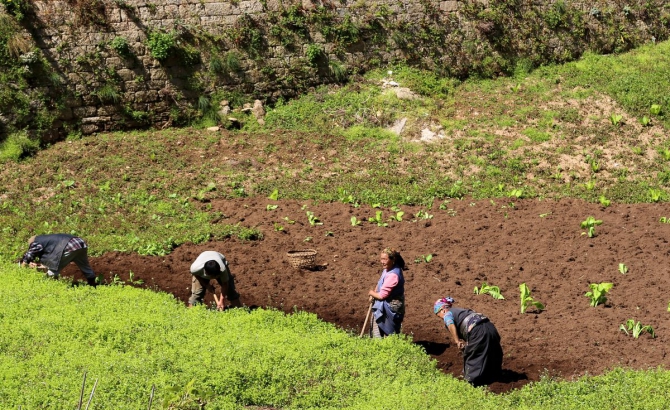 Непальский трекинг..