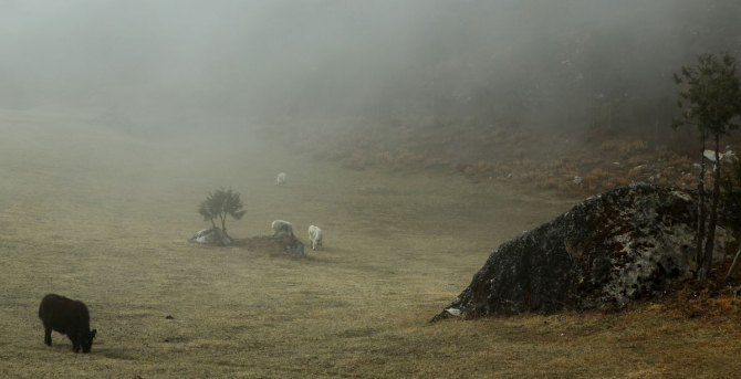 Непальский трекинг..