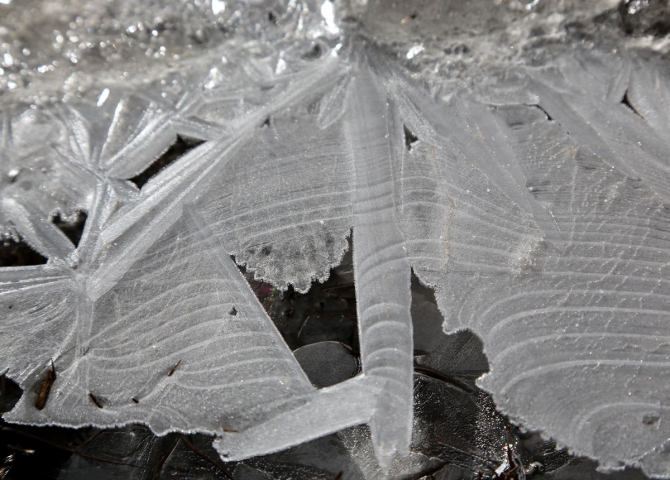 Непальский трекинг..