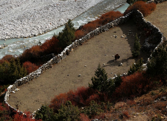 Непальский трекинг..