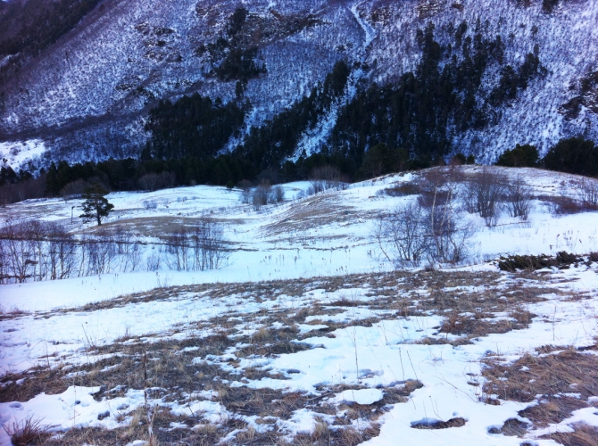Новогодний Чегет! (Горные лыжи/Сноуборд, приэльбрусье)