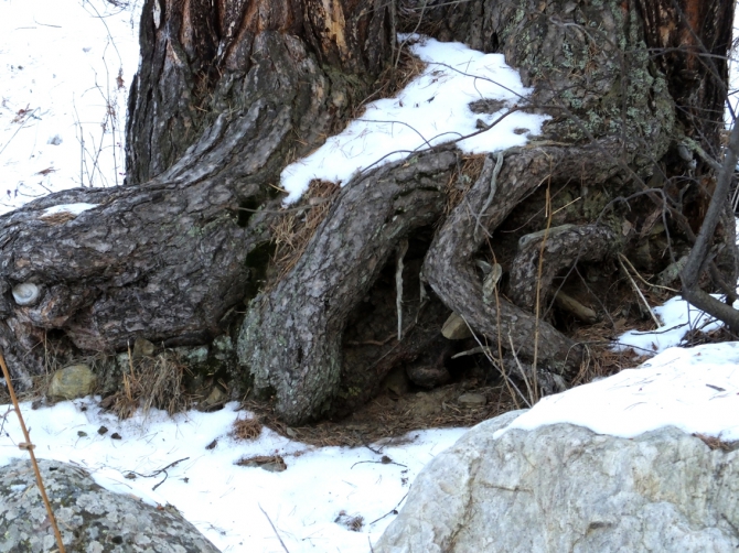 Ещё денёк Приэльбрусья. (приэльбрусье, чегет)