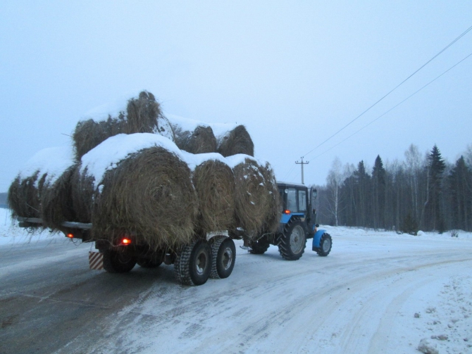 Первый выезд зимой на велосипедах, Томск-Каргасок, 2013 (Путешествия, зима, россия, север, велотуризм, велосипедизм)