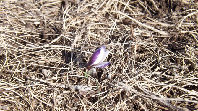 Прогулка по Демерджи. Фотоотчет. (Горный туризм, крым, зима)