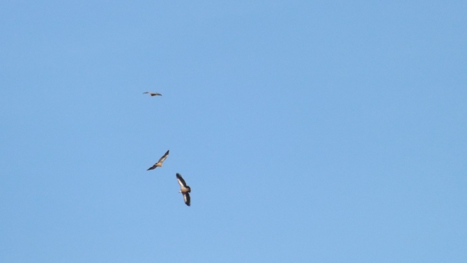 Прогулка по Демерджи. Фотоотчет. (Горный туризм, крым, зима)