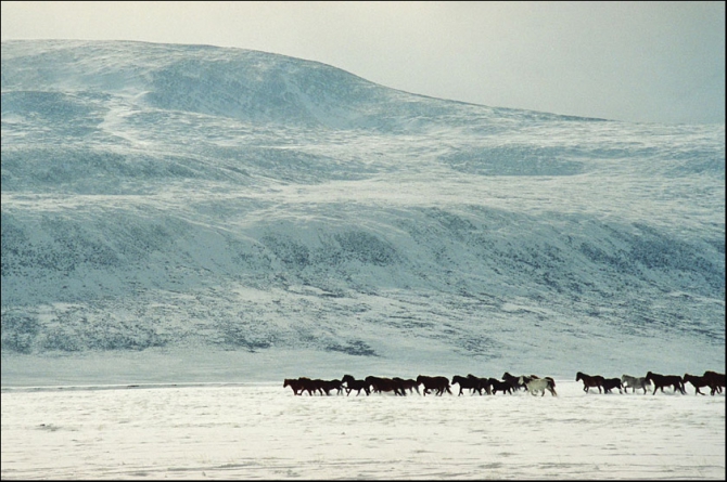 Фотоотчёт о зимнем Алтае. Дополнение к рассказу. (Альпинизм, ира иванова, колпаков, протасов, тилипенко, зимний поход, жаров, бездитко, поход, первопроход, алтай, горные лыжи)