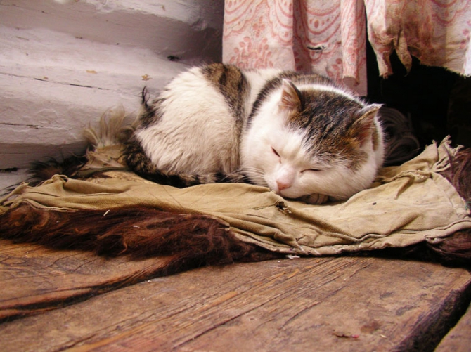 Фотоотчёт о зимнем Алтае. Дополнение к рассказу. (Альпинизм, ира иванова, колпаков, протасов, тилипенко, зимний поход, жаров, бездитко, поход, первопроход, алтай, горные лыжи)