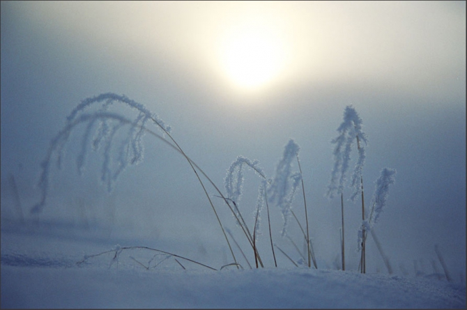Фотоотчёт о зимнем Алтае. Дополнение к рассказу. (Альпинизм, ира иванова, колпаков, протасов, тилипенко, зимний поход, жаров, бездитко, поход, первопроход, алтай, горные лыжи)