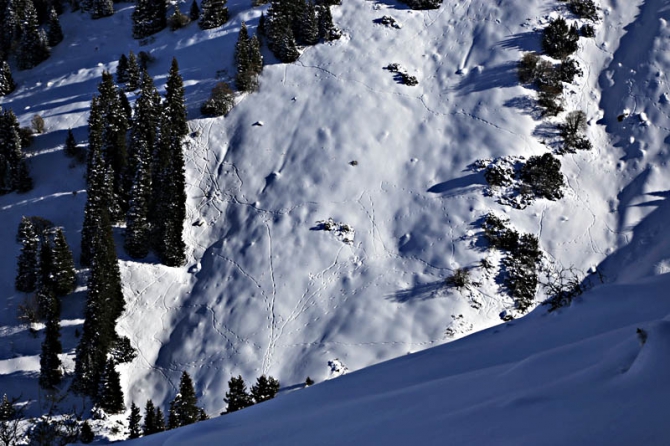 Бэккантри и фрирайд в Караколе (отчет о новогоднем Level 2 в горах Тянь-Шаня, Бэккантри/Фрирайд, киргизия, пржевальск, фрирайд-школа, алекс кузмицкий, snow sense)