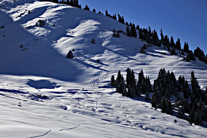 Бэккантри и фрирайд в Караколе (отчет о новогоднем Level 2 в горах Тянь-Шаня, Бэккантри/Фрирайд, киргизия, пржевальск, фрирайд-школа, алекс кузмицкий, snow sense)