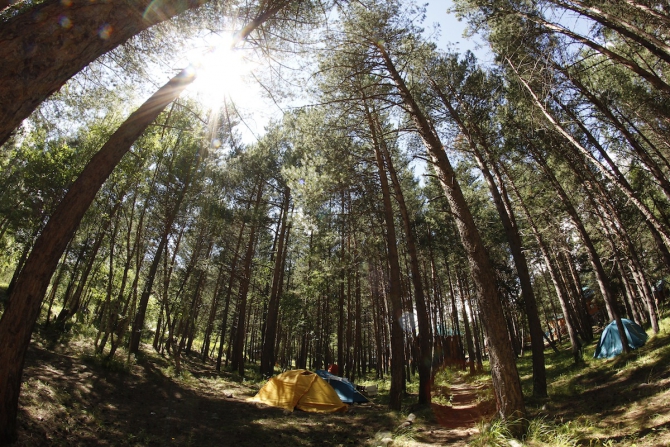 Бюджетное жилье в Приэльбрусье (Альпинизм)