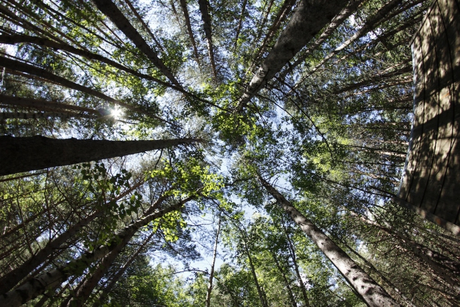 Бюджетное жилье в Приэльбрусье (Альпинизм)