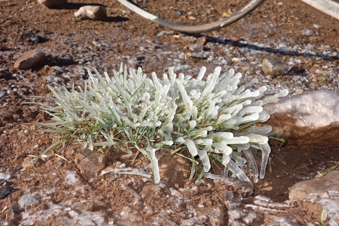 Аконкагуа в ноябре. Не так уж и страшна. (Альпинизм, южная америка, аргентина)