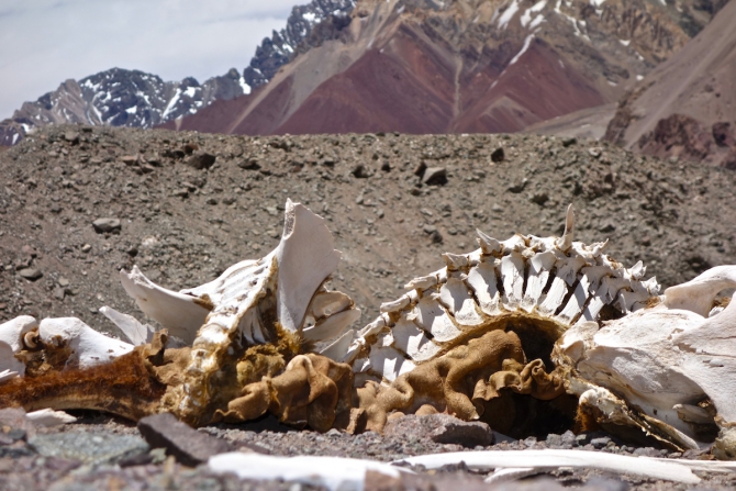 Аконкагуа в ноябре. Не так уж и страшна. (Альпинизм, южная америка, аргентина)