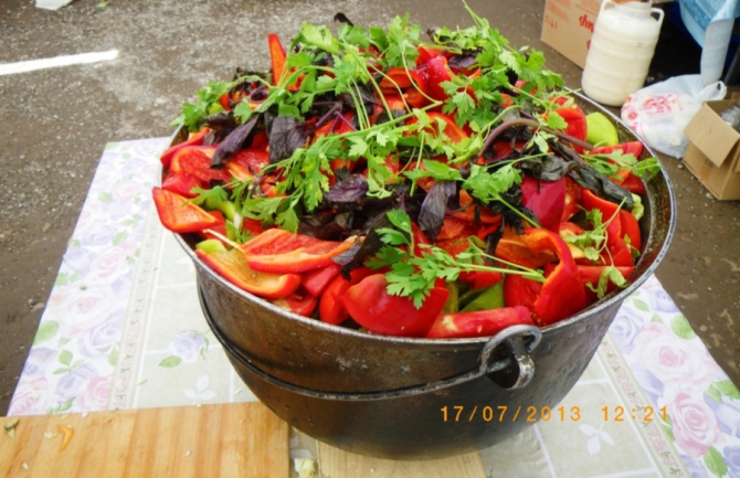 Размышления небывалого или опять про пик Ленина. Часть 2 (Альпинизм, организация поездки)