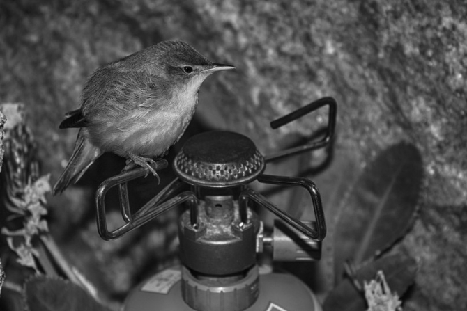 ИТОГИ ФОТОКОНКУРСА "МИРЫ БЕЗЕНГИ 2013-2014" (Альпинизм)