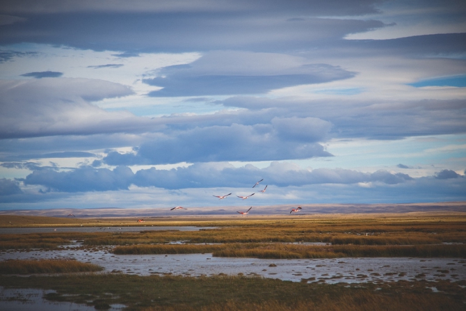 «Патагония, Фитц Рой и все такое…» (Альпинизм, рапт, fitz roy, альпинизм, nefedov, rapt-team, argentina, яэмурд, patagonia, радолицкий, аргентина, rapt, нефёдов)