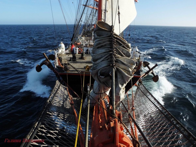 Будни матроса на барке "Седов" (Вода, барк седов)