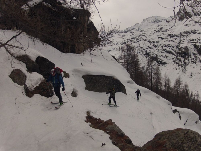 Гран Парадизо, Италия (Ски-тур, ски-тур, ски-альпинизм)