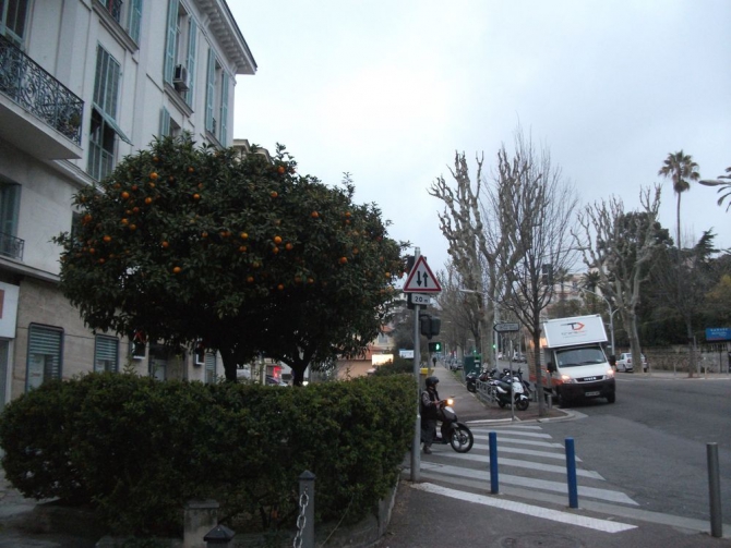 Гран Парадизо, Италия (Ски-тур, ски-тур, ски-альпинизм)