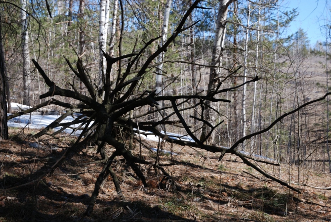 Открытие пешеходного сезона. (Путешествия)