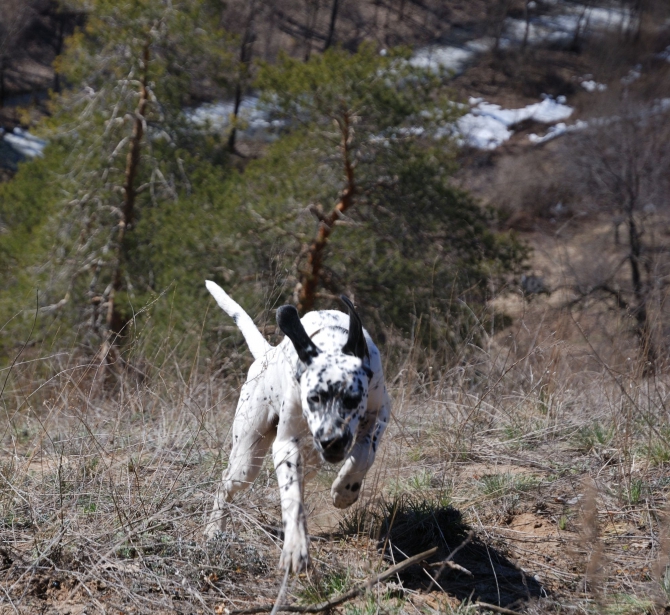 Открытие пешеходного сезона. (Путешествия)