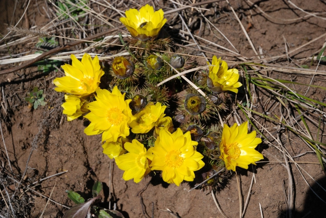Открытие пешеходного сезона. (Путешествия)