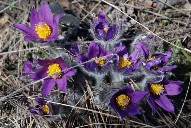 Открытие пешеходного сезона. (Путешествия)