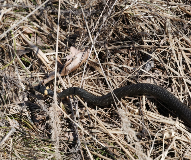 Открытие пешеходного сезона. (Путешествия)