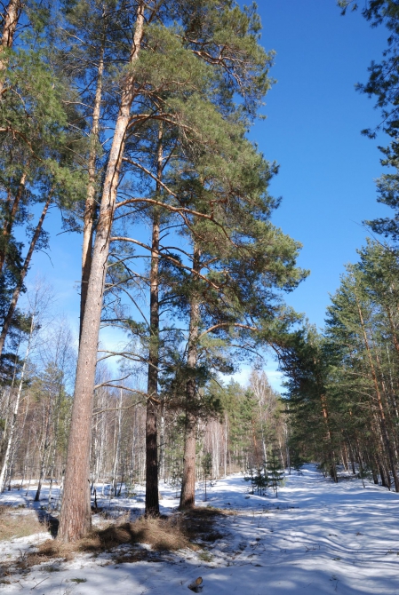 Открытие пешеходного сезона. (Путешествия)