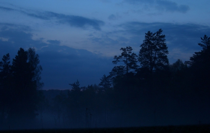 Родные Жигули. (Путешествия)