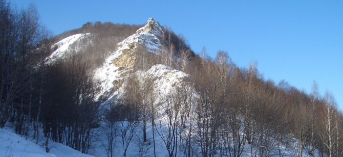 Родные Жигули. (Путешествия)