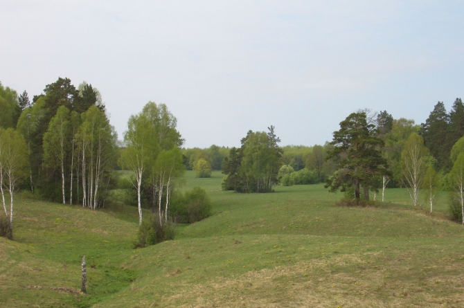 Родные Жигули. (Путешествия)