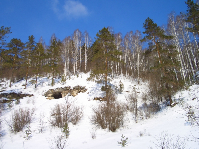 Родные Жигули. (Путешествия)