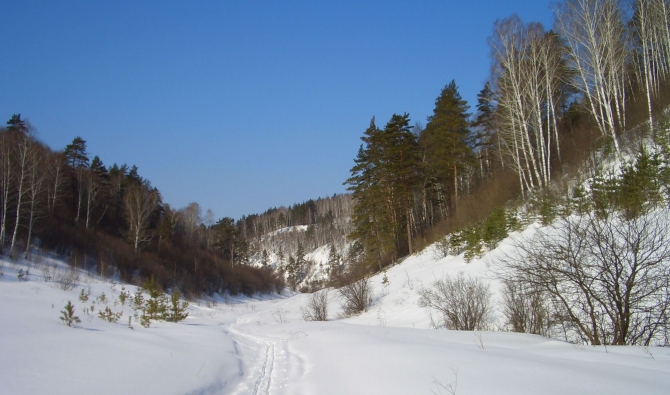 Родные Жигули. (Путешествия)
