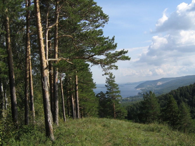 Родные Жигули. (Путешествия)