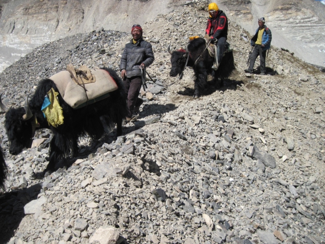 Новости экспедиции на Эверест: идет этап активной акклиматизации (Альпинизм)