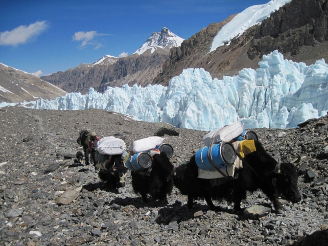 Новости экспедиции на Эверест: идет этап активной акклиматизации (Альпинизм)