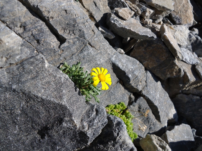 Ищу попутчика на Олимп (сентябрь 2014, Горный туризм)