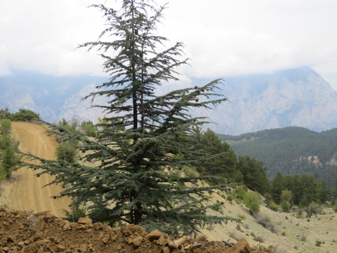 Турция. Ликийская тропа. Апрель 2014. (Путешествия)