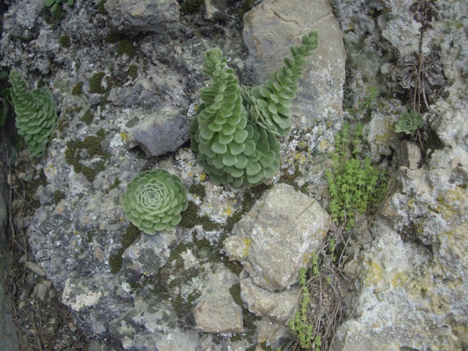 Турция. Ликийская тропа. Апрель 2014. (Путешествия)