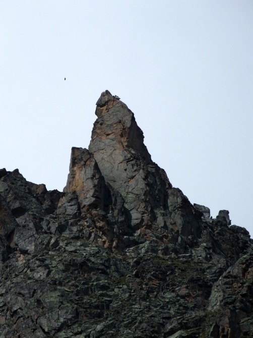 Гуляем в ущелье Адыр-су. (адырсу, приэльбрусье.)