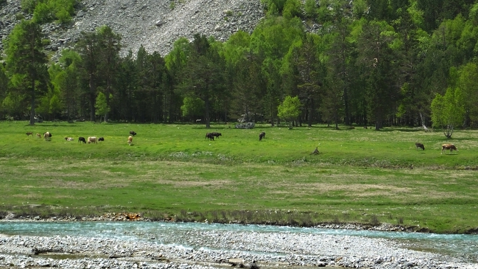 Гуляем в ущелье Адыр-су. (адырсу, приэльбрусье.)