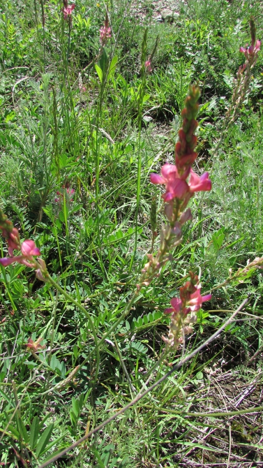 Былымские озёра, и окрестности. (баксанское ущелье)