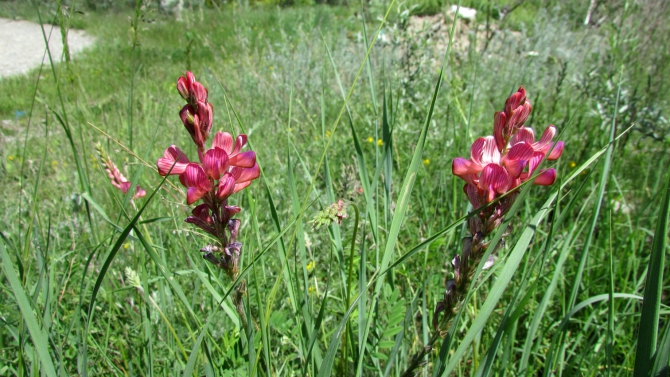 Былымские озёра, и окрестности. (баксанское ущелье)