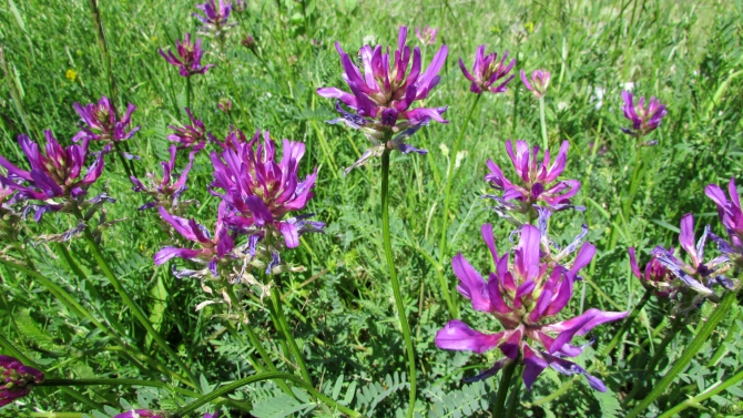 Былымские озёра, и окрестности. (баксанское ущелье)