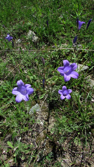 Былымские озёра, и окрестности. (баксанское ущелье)